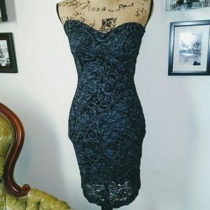 NWOT  Blue Lace Paisley Bodycon Dress